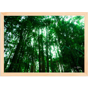 Quadro Arvoredo - 003 - Moldura Tradicional Crua