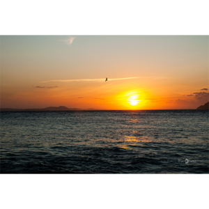 Pôster Pôr do Sol no Mar - 006