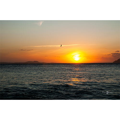 Pôster Pôr do Sol no Mar - 006