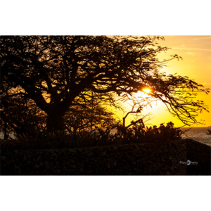 Pôster Pôr do Sol - 009