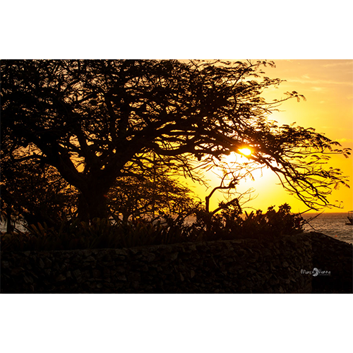 Pôster Pôr do Sol - 009