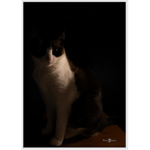Quadro Gato - 010 - Moldura Filete Branco