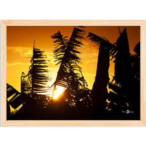 Quadro Pôr do Sol e Bananeiras - 017 - Moldura Tradicional Crua