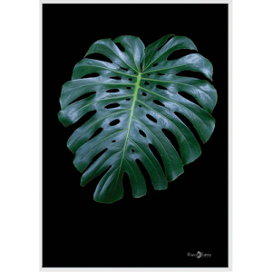 Quadro Costela de Adão - 029 - Moldura Filete Branco